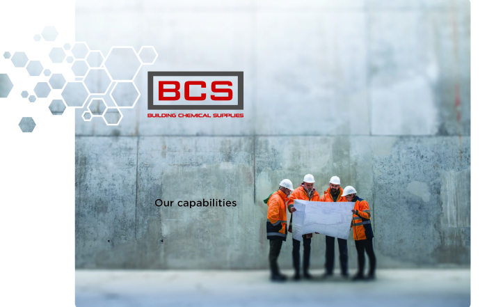 BCS Capability Statement